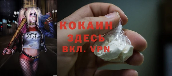 ешки Алзамай