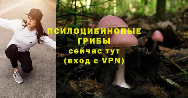 героин Алексин