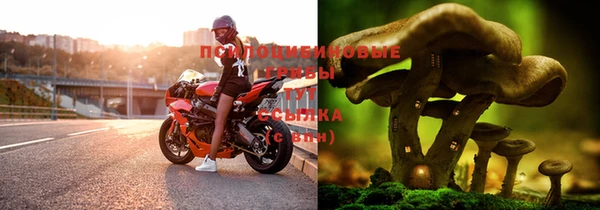 ешки Алзамай