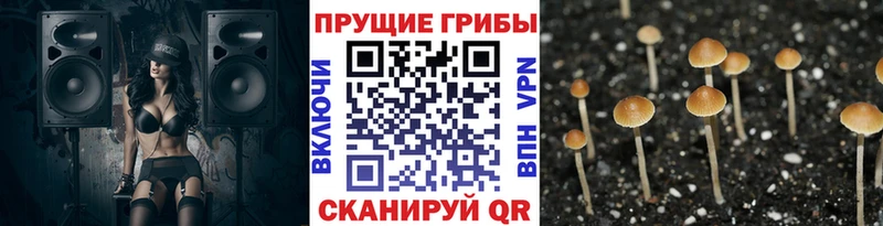 Галлюциногенные грибы GOLDEN TEACHER  Олонец 